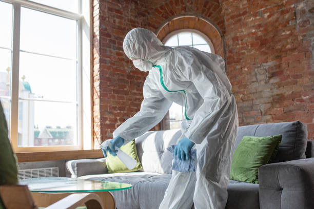 Best Emergency Mold Remediation  in USA